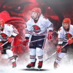 Delaware Ducks Project