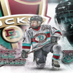 Delaware Ducks Project Part 2