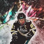 Delaware Ducks Project Part 2