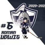 Xavier Bleiler Jr Knights Artwork
