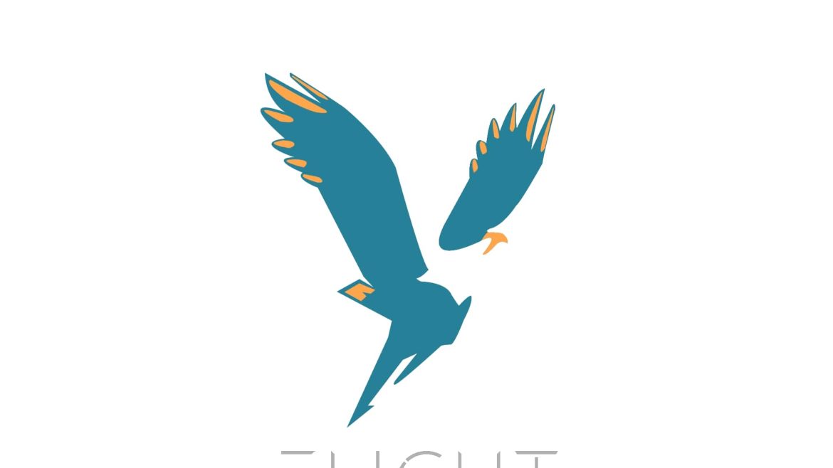 Eagle Logo Design White Outline Min