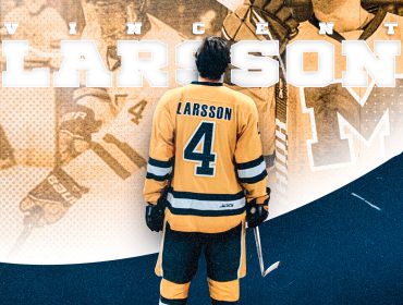 Vincent Larsson Final